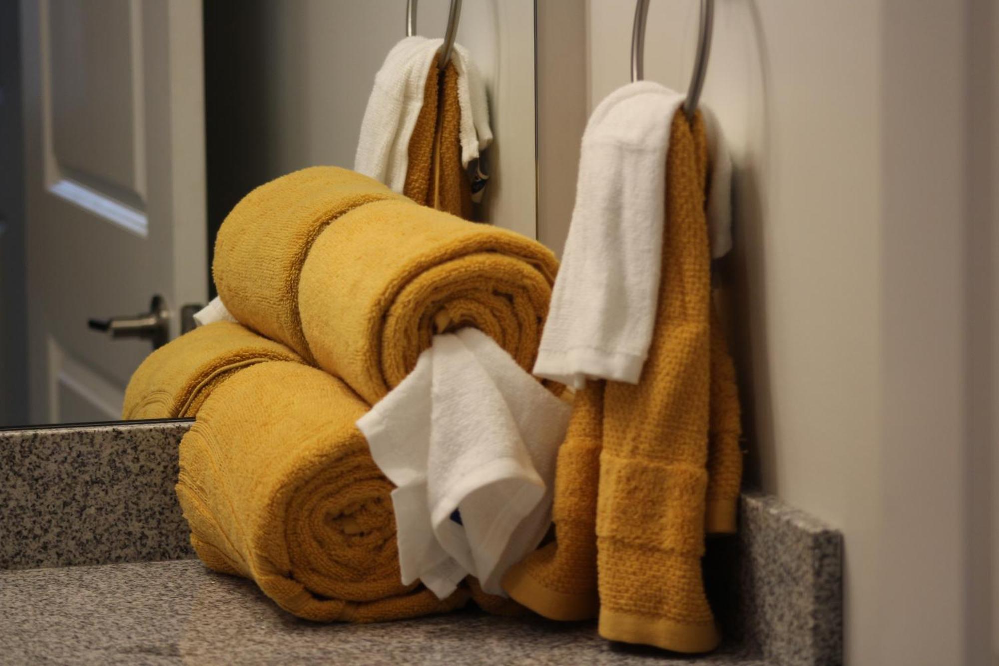 Apartment Quiet And Luxury - 10 Minutes From Ecu *